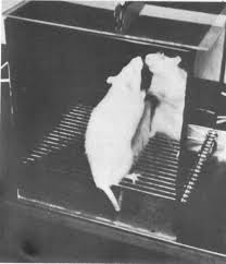 f:id:gempathy:20220211131433j:plain