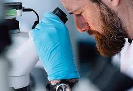 f:id:gempathy:20220214105311j:plain