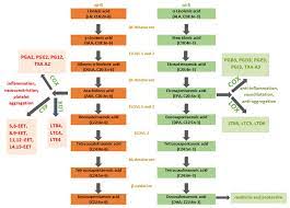 f:id:gempathy:20220302125753j:plain