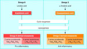 f:id:gempathy:20220302125817j:plain