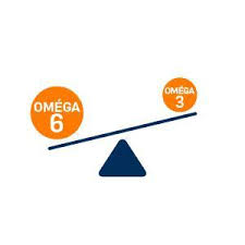 f:id:gempathy:20220302125928j:plain