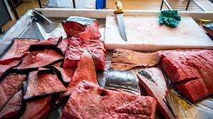 f:id:gempathy:20220311122514j:plain