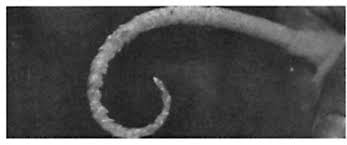 f:id:gempathy:20220315141759j:plain