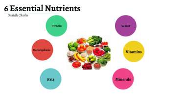 f:id:gempathy:20220315141813j:plain