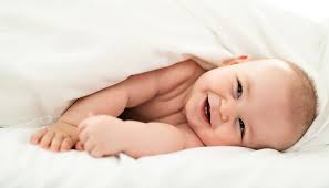 f:id:gempathy:20220324114217j:plain