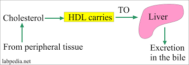 f:id:gempathy:20220401125538p:plain