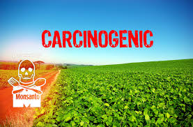 f:id:gempathy:20220415074800j:plain