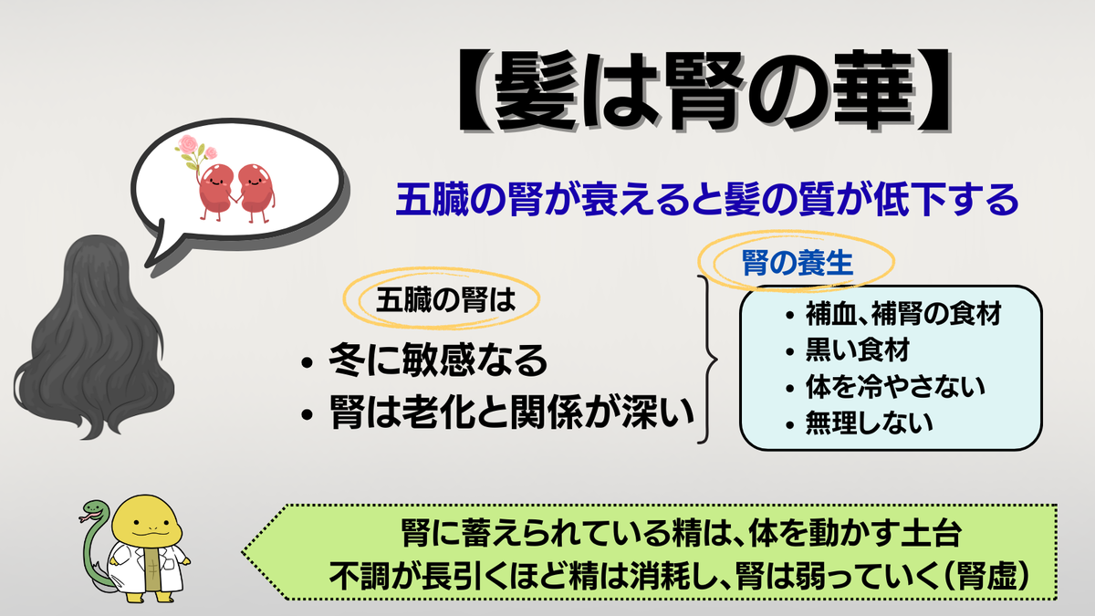 中医学における【髪は腎の華】を解説した画像