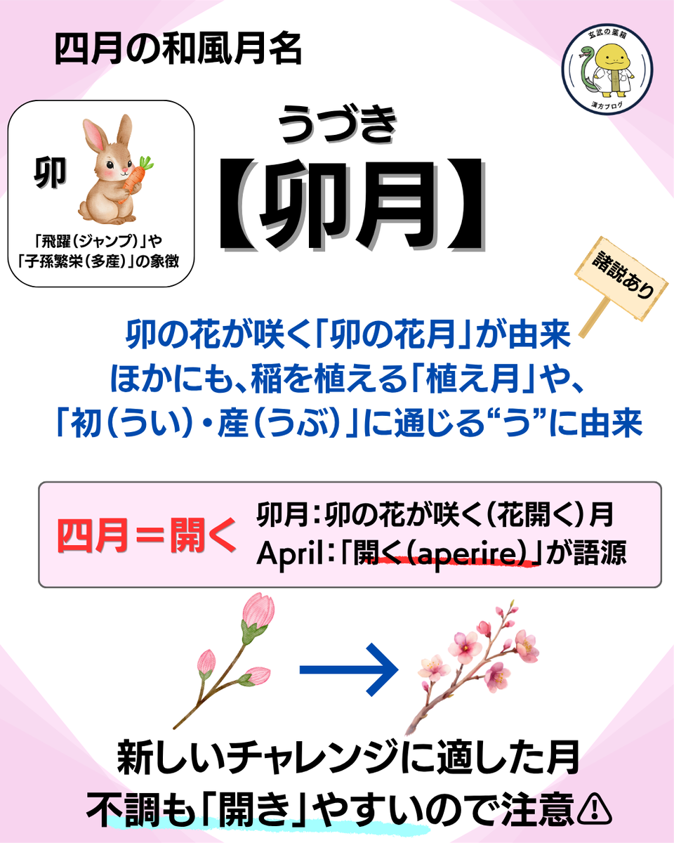 卯月（うづき） - 漢方ミニ用語集｜玄武の薬箱 別館