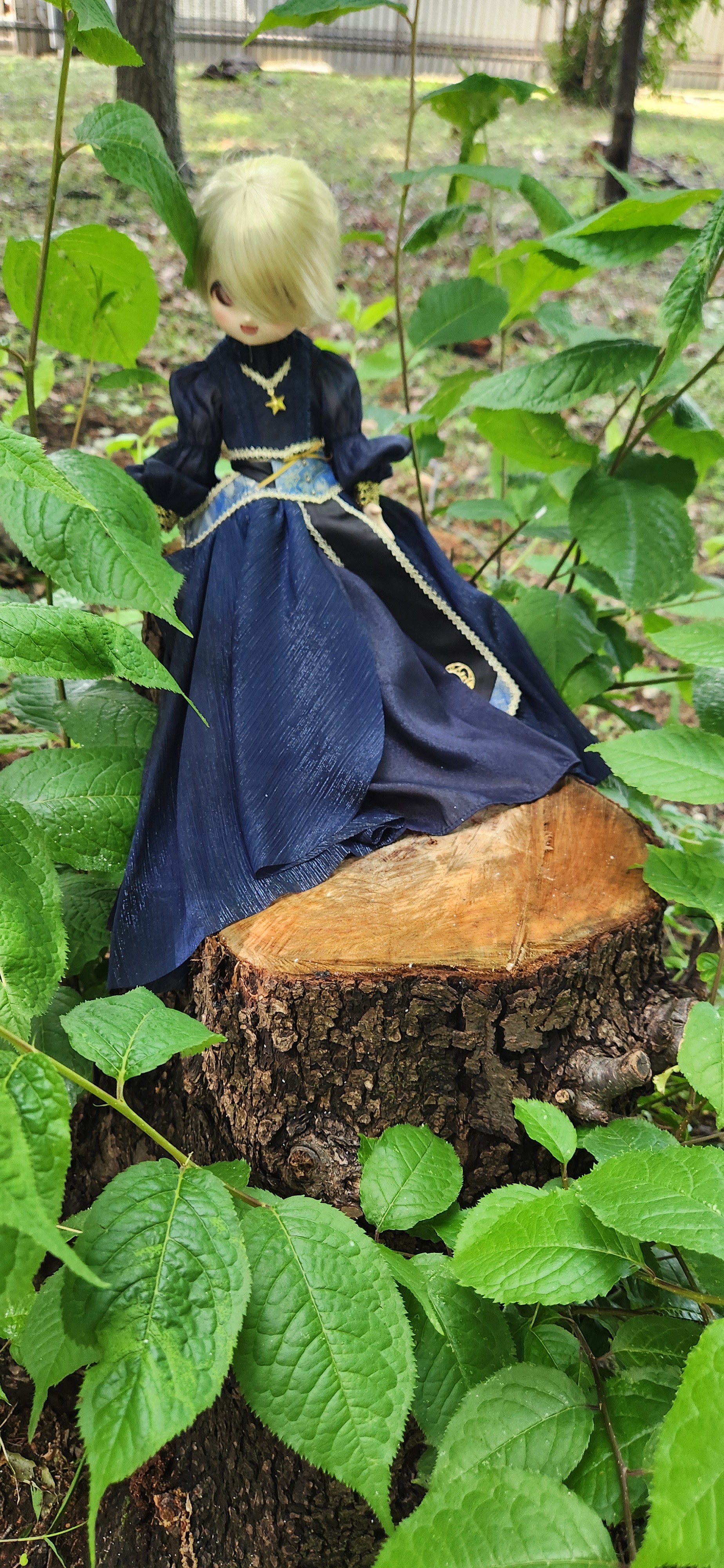 f:id:gen0326:20250511104111j:image