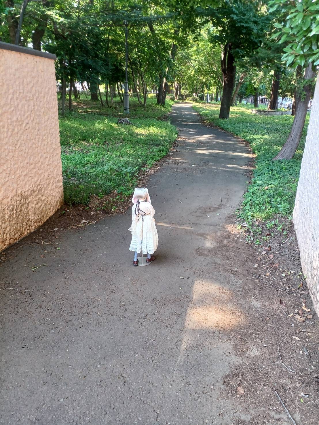 f:id:gen0326:20250618155234j:image