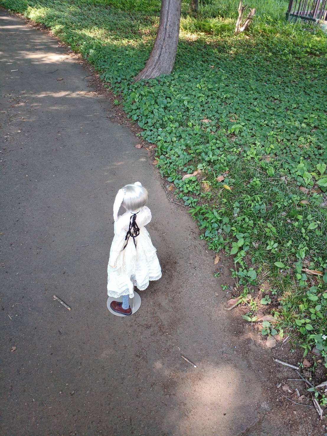 f:id:gen0326:20250618155252j:image