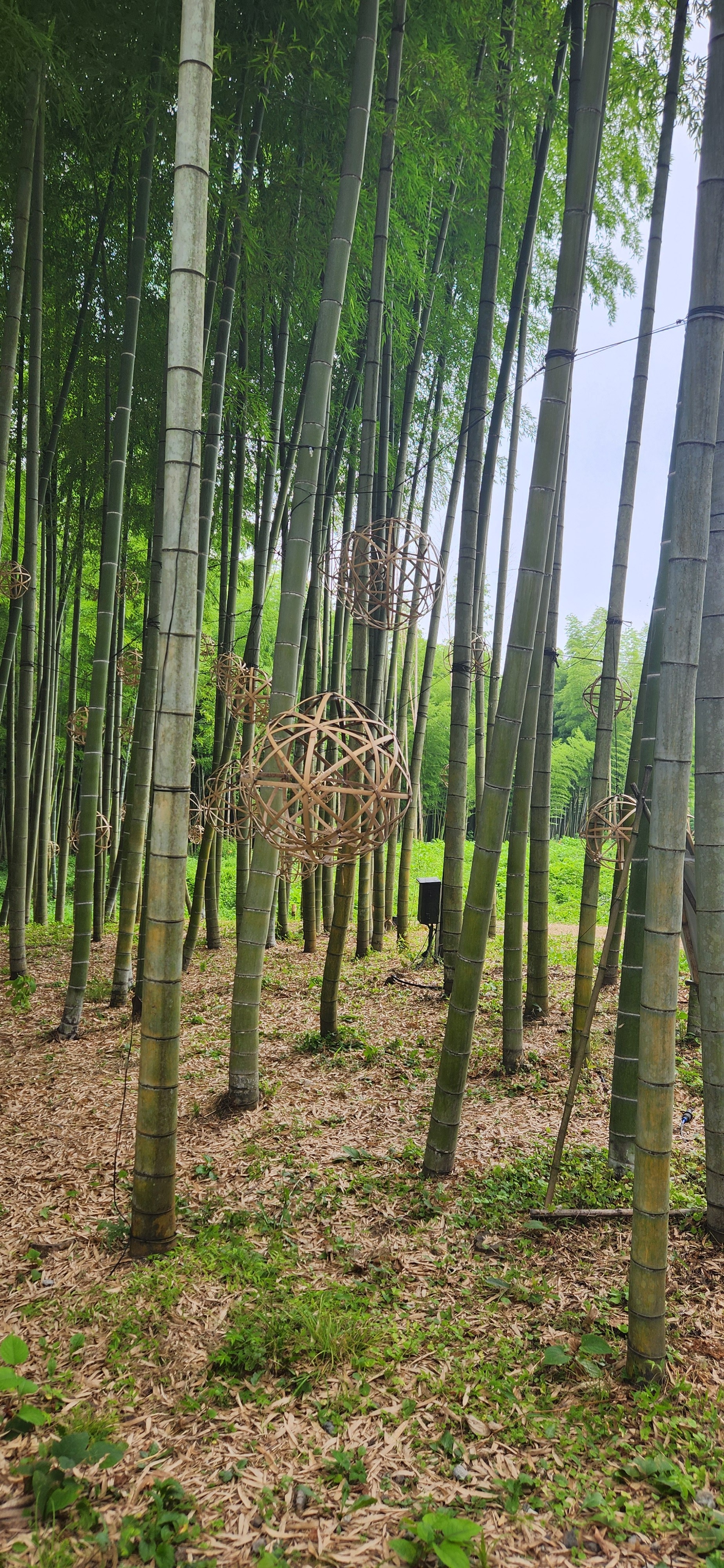 f:id:gen0326:20250711074158j:image