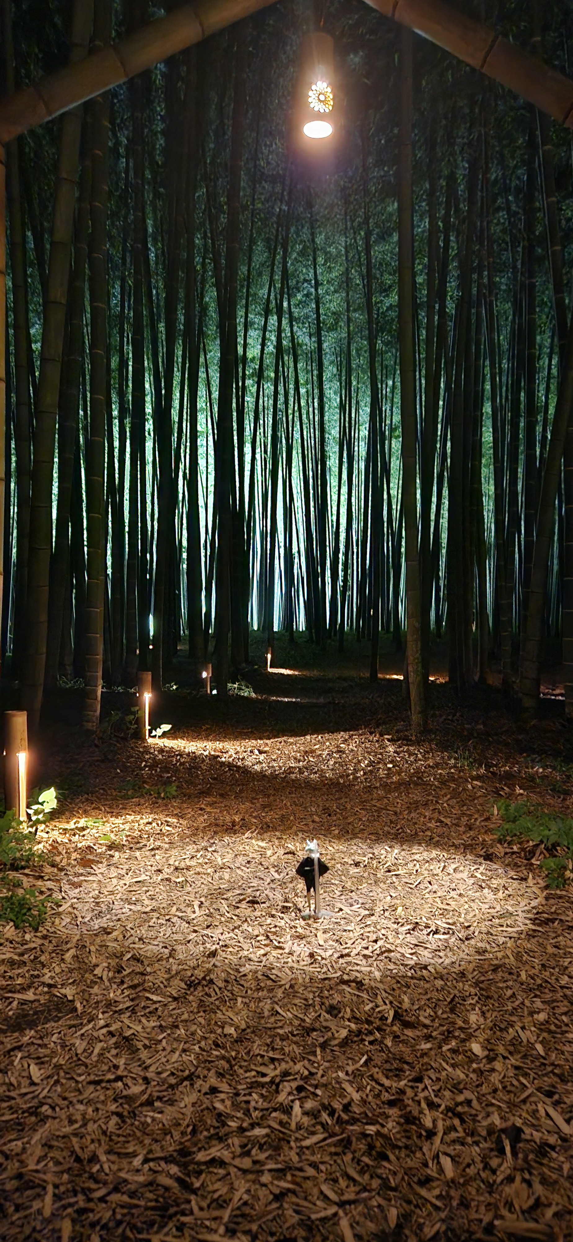 f:id:gen0326:20250713204038j:image