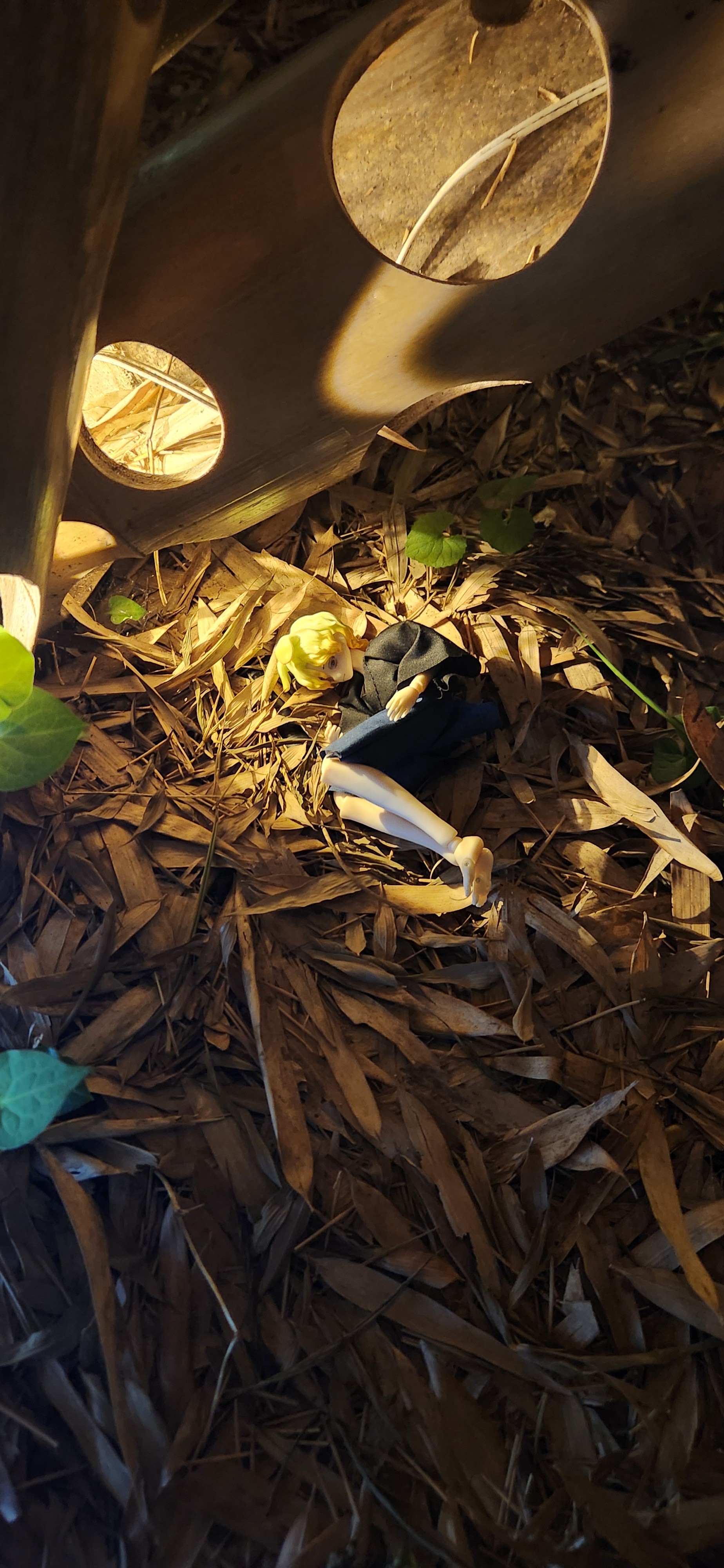 f:id:gen0326:20250719150509j:image