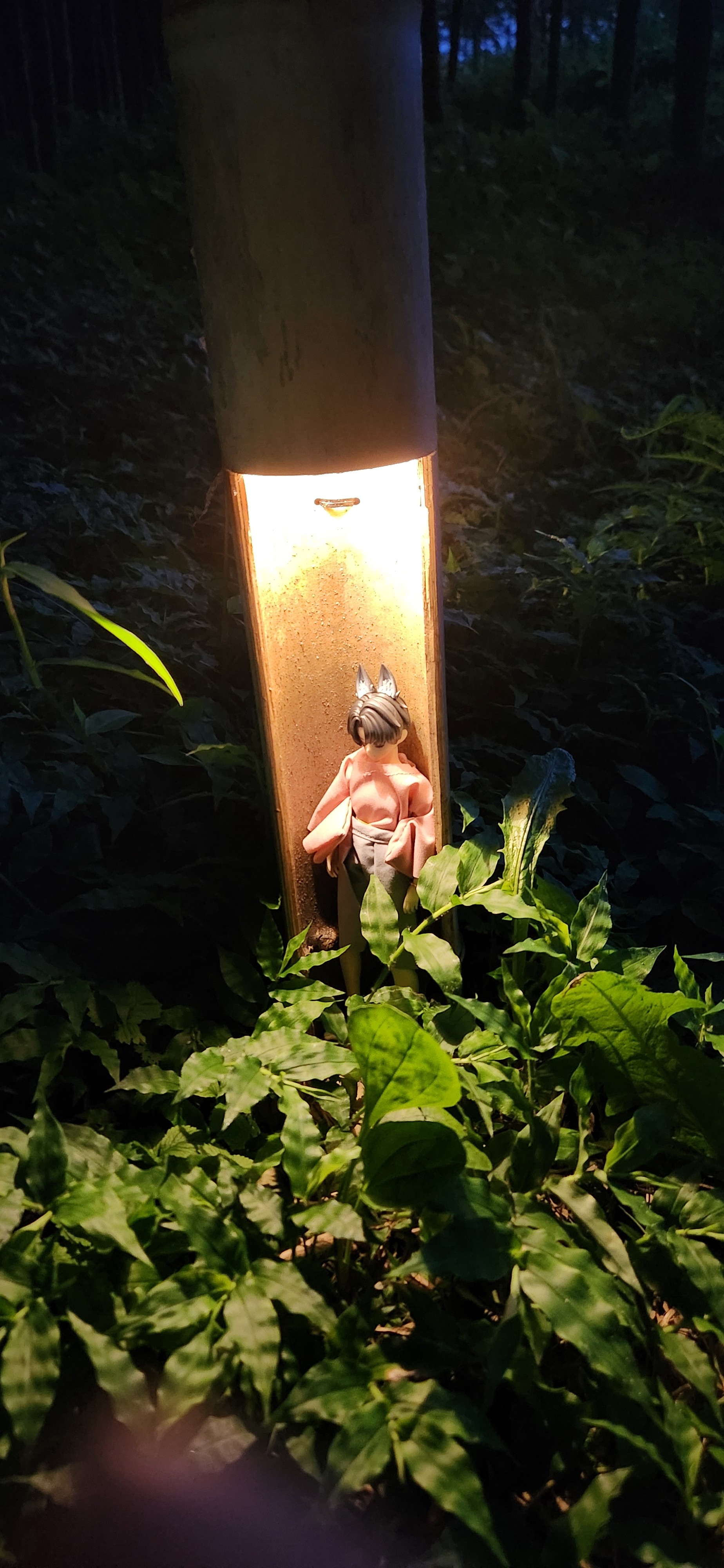 f:id:gen0326:20250719151537j:image