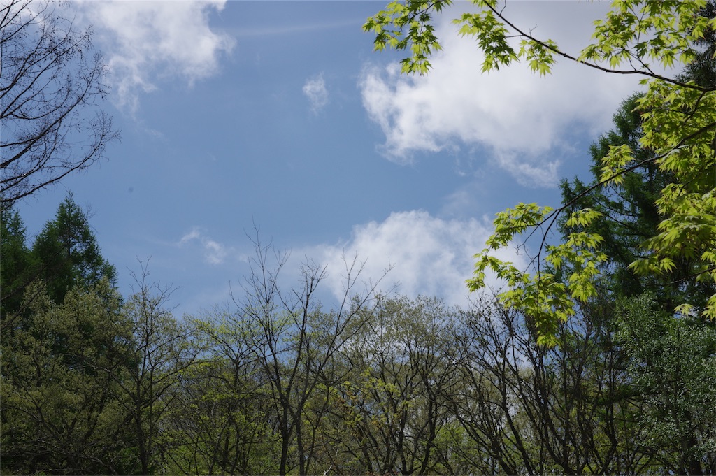 f:id:gen313:20190522004404j:image f:id:gen313:20190522004404j:image