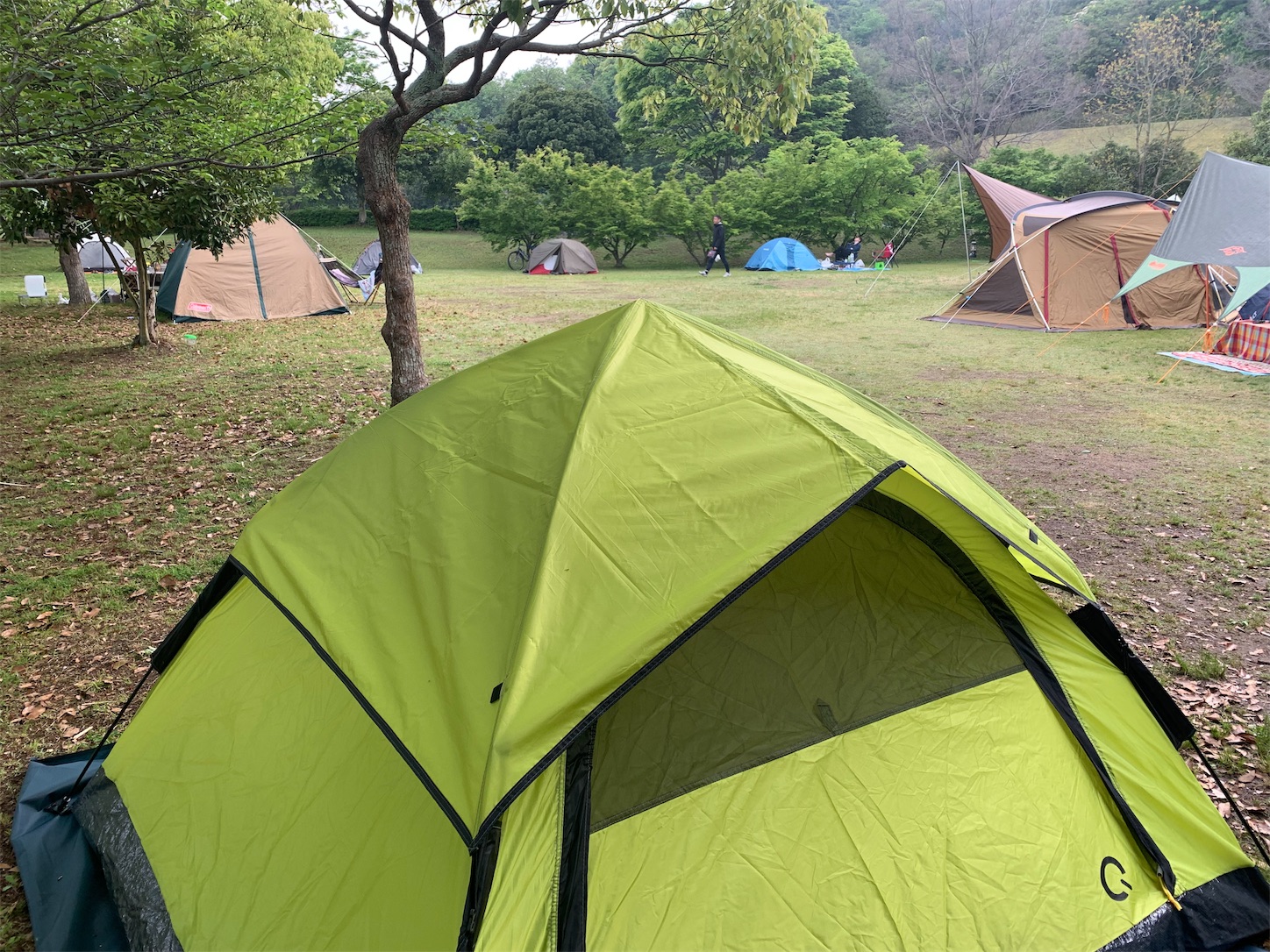 f:id:gen313:20190605105809j:image f:id:gen313:20190605105809j:image