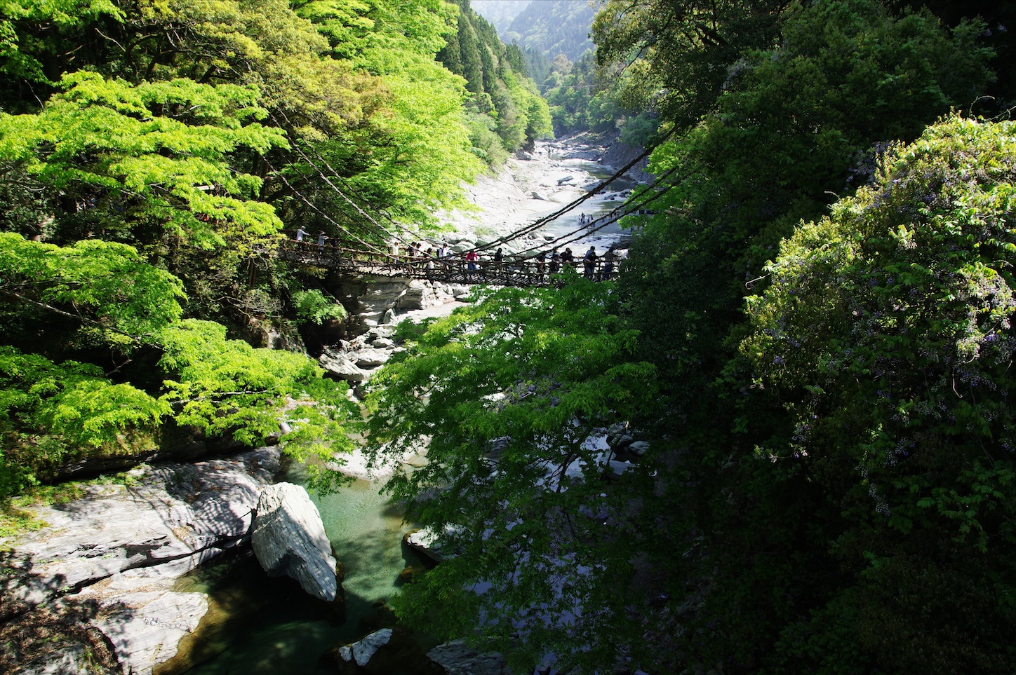 f:id:gen313:20200607090049j:image f:id:gen313:20200607090049j:image