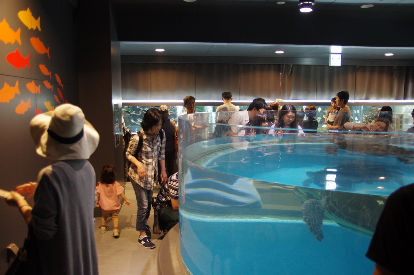 f:id:gen313:20200608131838j:image f:id:gen313:20200608131838j:image
