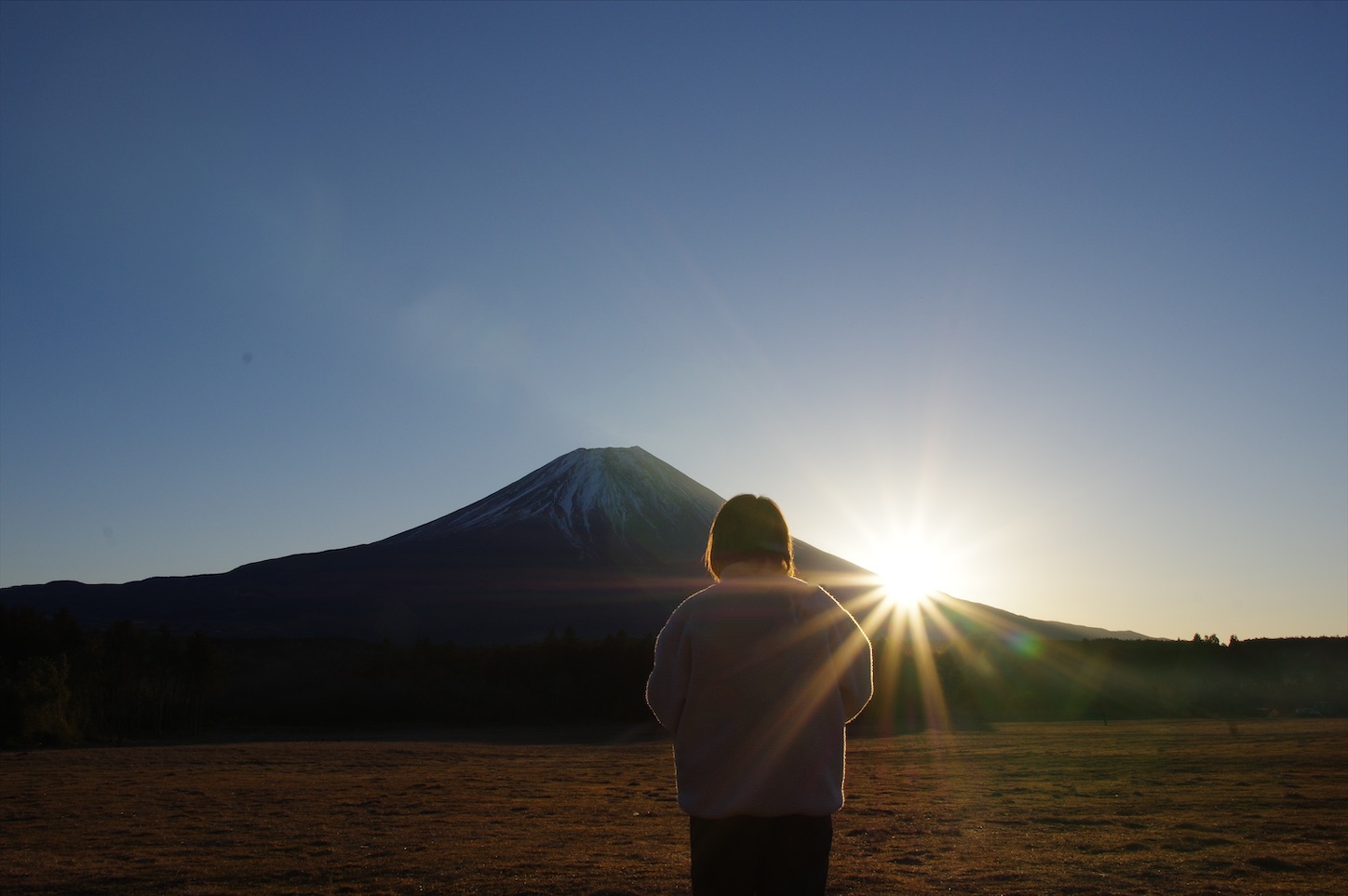 f:id:gen313:20200611011236j:image f:id:gen313:20200611011236j:image