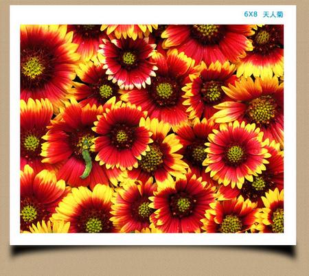 f:id:genanzhi:20071204163435j:image f:id:genanzhi:20071204163435j:image