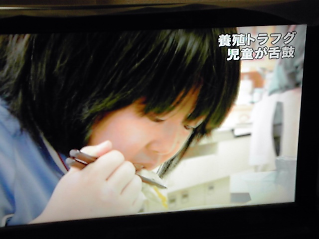 f:id:genbara-k:20140204231607j:image:w350 f:id:genbara-k:20140204231607j:image:w350