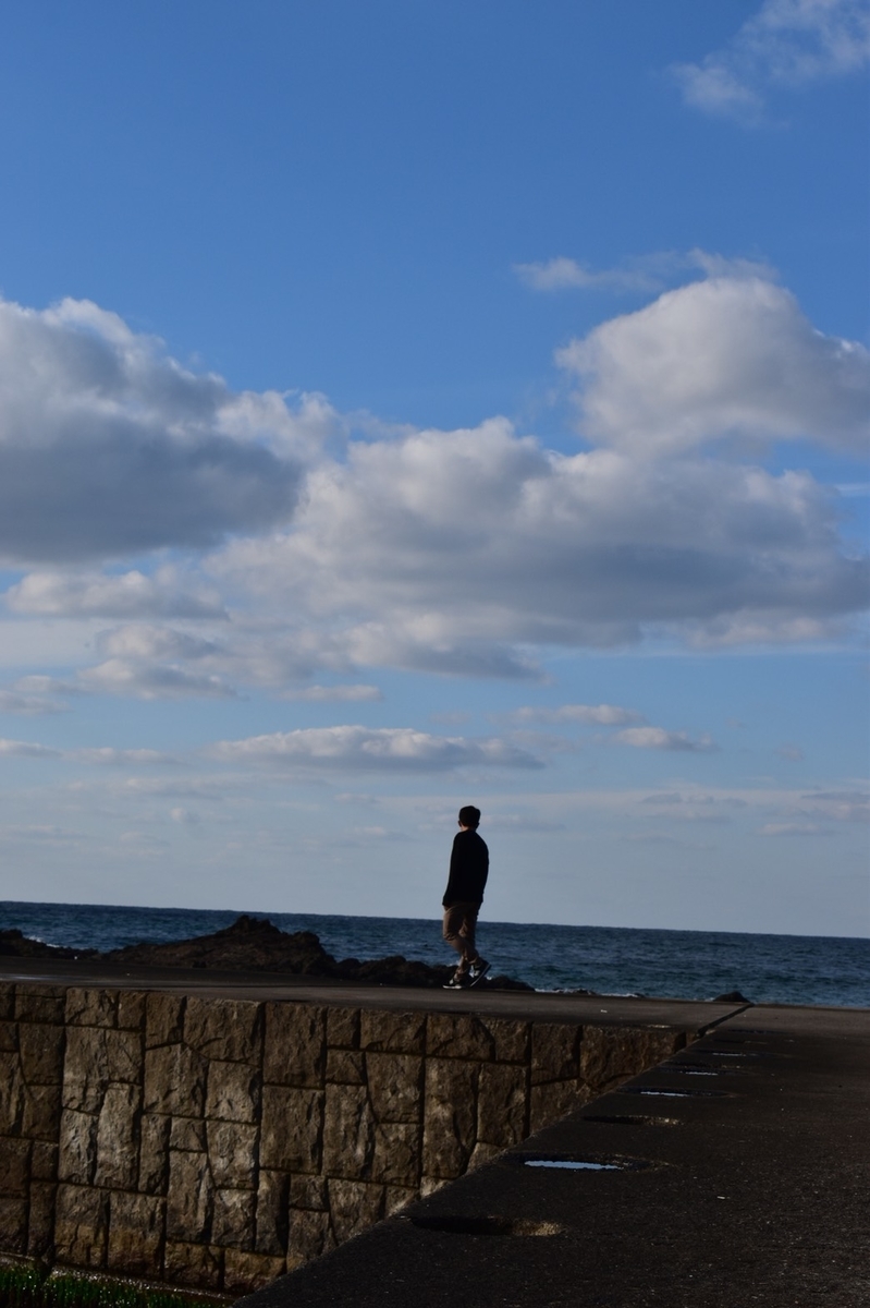 f:id:genchiyo:20201206101116j:plain