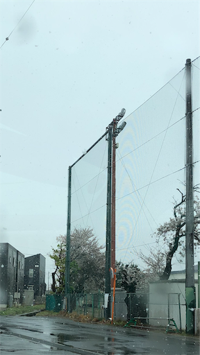 f:id:gene_design_works:20190410103619p:image f:id:gene_design_works:20190410103619p:image