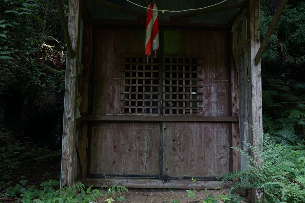f:id:gene_row:20180908141759j:plain