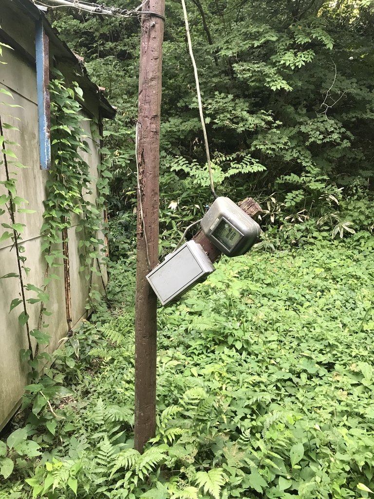 f:id:gene_row:20180908142453j:plain
