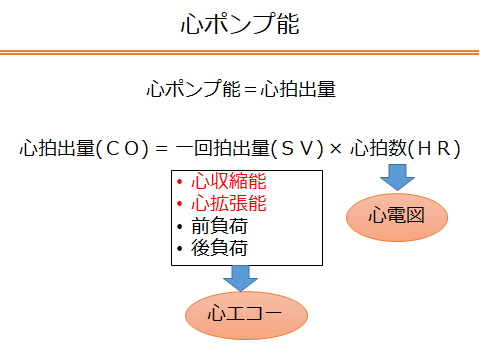 f:id:generalist_physio:20170822195252p:plain