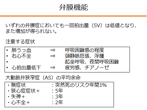 f:id:generalist_physio:20170822195518p:plain