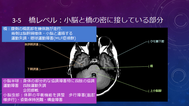 f:id:generalist_physio:20171013232122p:plain