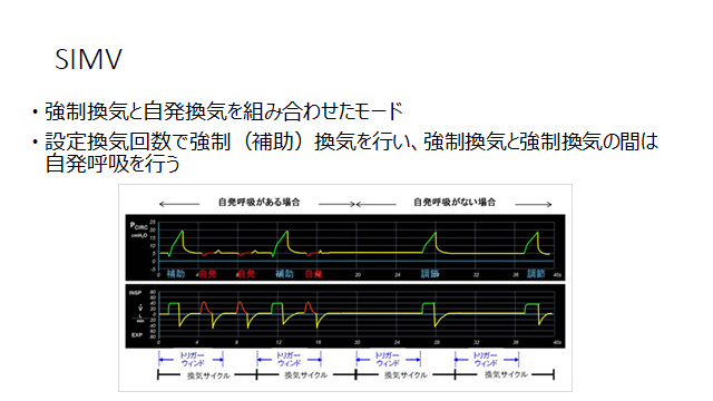 f:id:generalist_physio:20171119210625p:plain