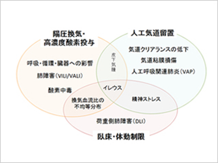 f:id:generalist_physio:20171119211221p:plain