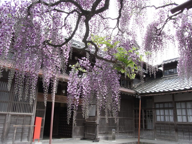 f:id:genesis:20080502150147j:image