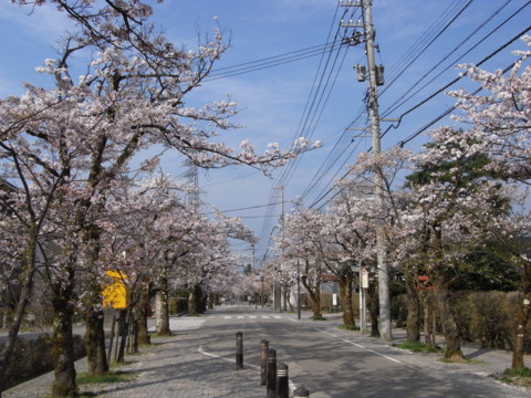f:id:genesis:20090412161339j:image