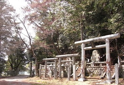 f:id:genesis:20100321131605j:image