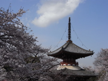 f:id:genesis:20100403145107j:image