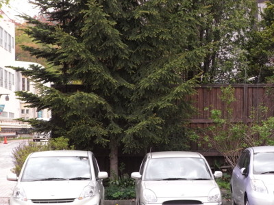 f:id:genesis:20100526133958j:image:left