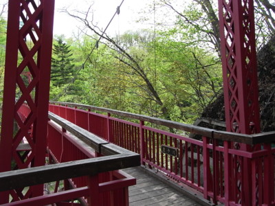 f:id:genesis:20100526140317j:image:left