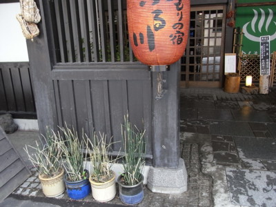 f:id:genesis:20100526151356j:image:left