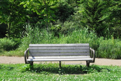 f:id:genesis:20100629141513j:image:left f:id:genesis:20100629141513j:image:left