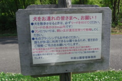 f:id:genesis:20100629142249j:image:left f:id:genesis:20100629142249j:image:left