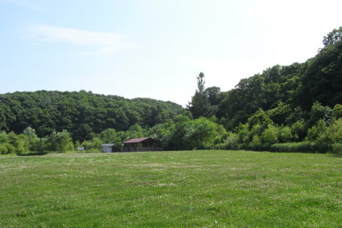 f:id:genesis:20100629143036j:image:left f:id:genesis:20100629143036j:image:left