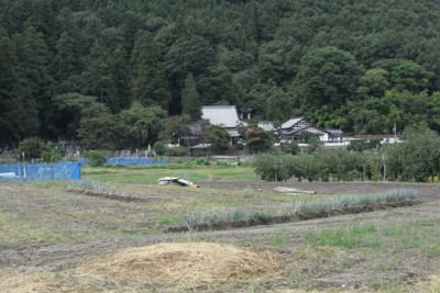 f:id:genesis:20100920121901j:image