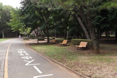 f:id:genesis:20110829114026j:image