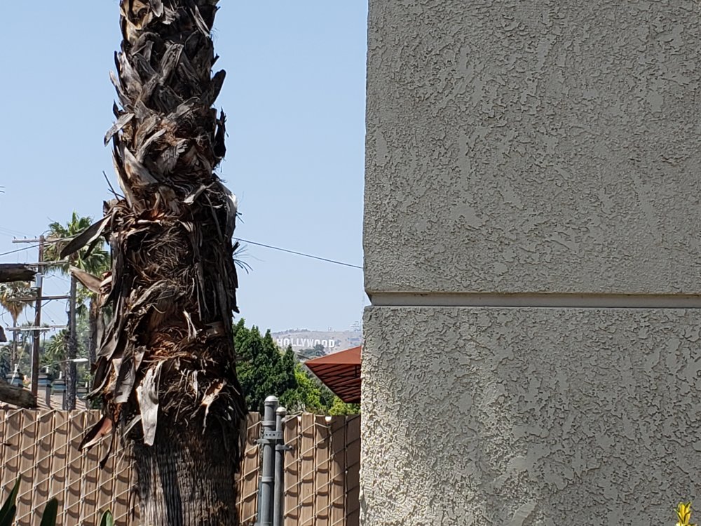 f:id:gengesa:20190710035538j:plain f:id:gengesa:20190710035538j:plain
