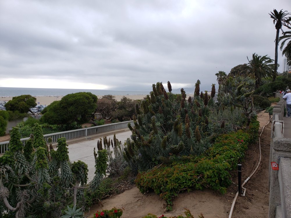 f:id:gengesa:20190710040320j:plain f:id:gengesa:20190710040320j:plain